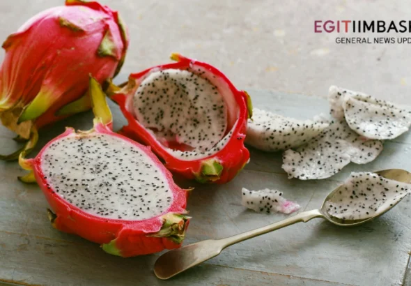 Manfaat Buah Naga